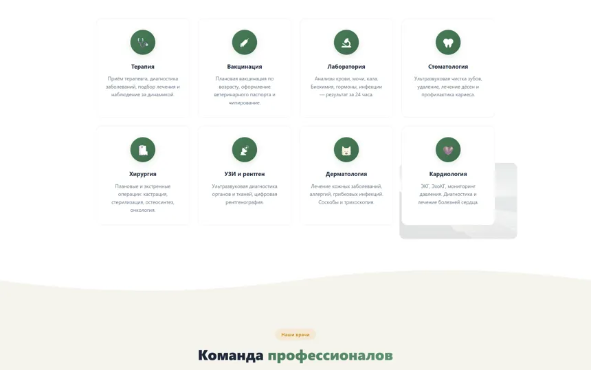 ЛапаМед — фрагмент страницы 1