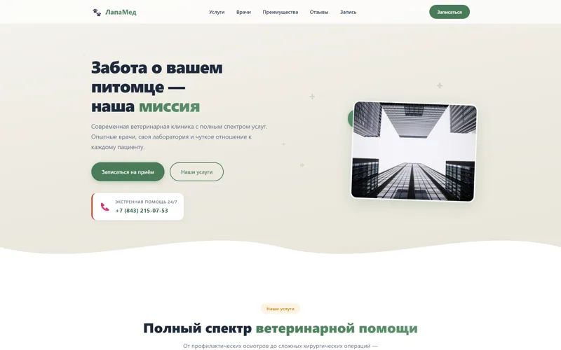 Превью: ЛапаМед